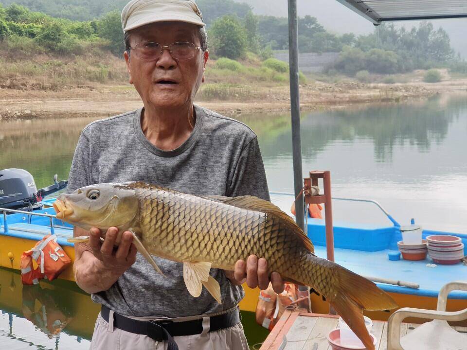 안녕하세요 솔낚시터 입니다 (조황조행기 - 충주호조황속보)