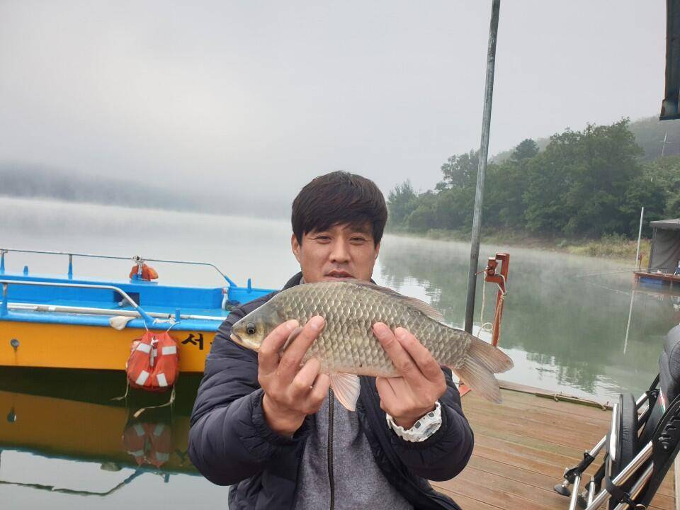 솔낚시터 주말 허리급 조황소식입니다 (조황조행기 - 충주호조황속보)