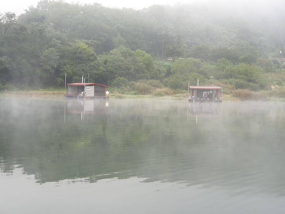 솔낚시터 주말 허리급 조황소식입니다 (조황조행기 - 충주호조황속보)