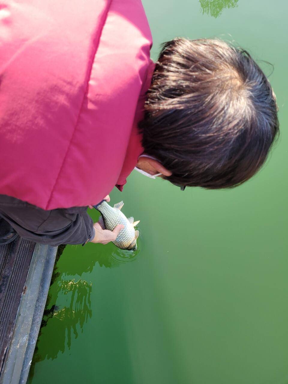 실리곡낚시터 허리급 조황입니다 (조황조행기 - 충주호조황속보)