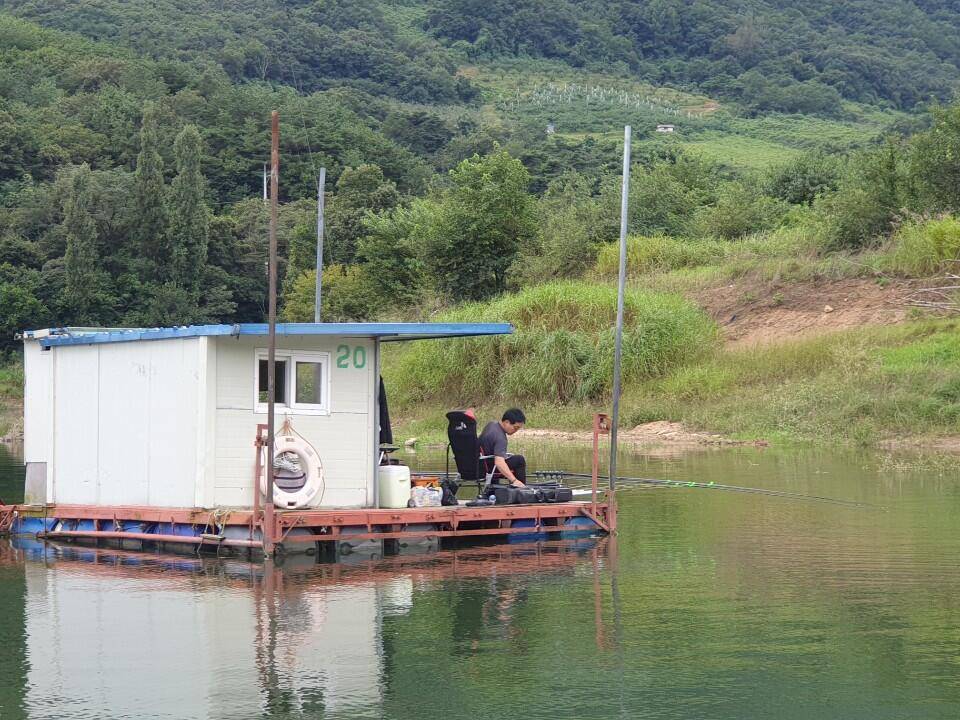 솔낚시터 4짜 조황소식 입니다 (조황조행기 - 충주호조황속보)