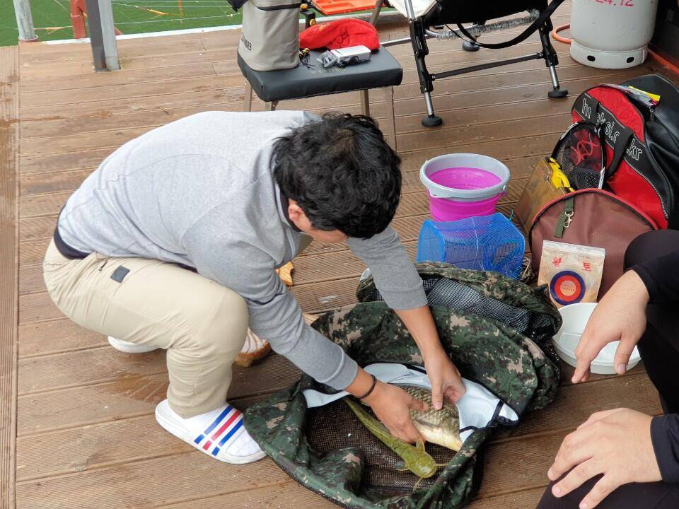 태풍이 너무해 솔낚시터 입니다 (조황조행기 - 충주호조황속보)