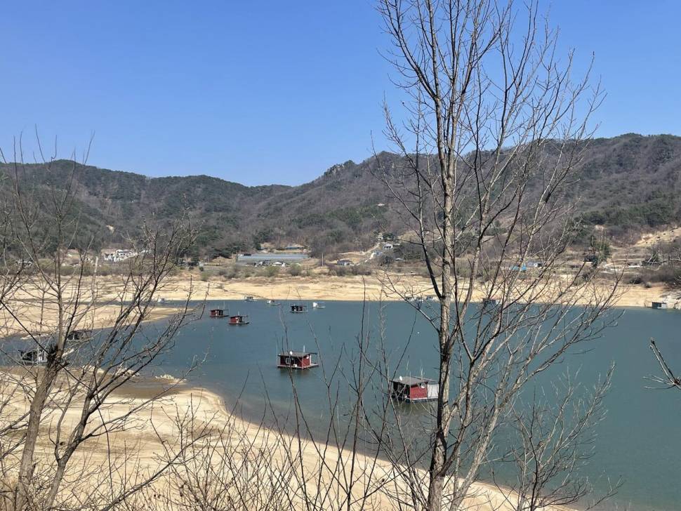 2021 솔낚시터 최대어 이벤트 소식과 조황소식 알려드립니다 (조황조행기 - 충주호조황속보)