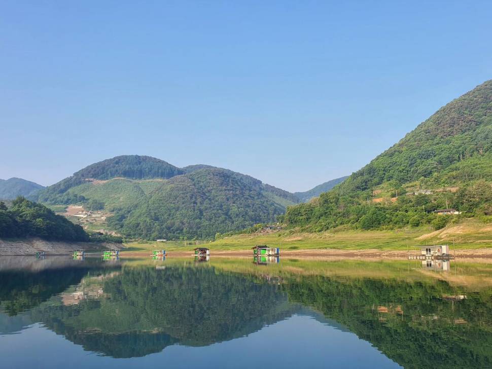 용곡 김기호 낚시터 조황정보 입니다 (조황조행기 - 충주호조황속보)