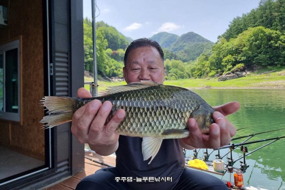 늘푸른 최근 조황입니다 (조황조행기 - 충주호조황속보)