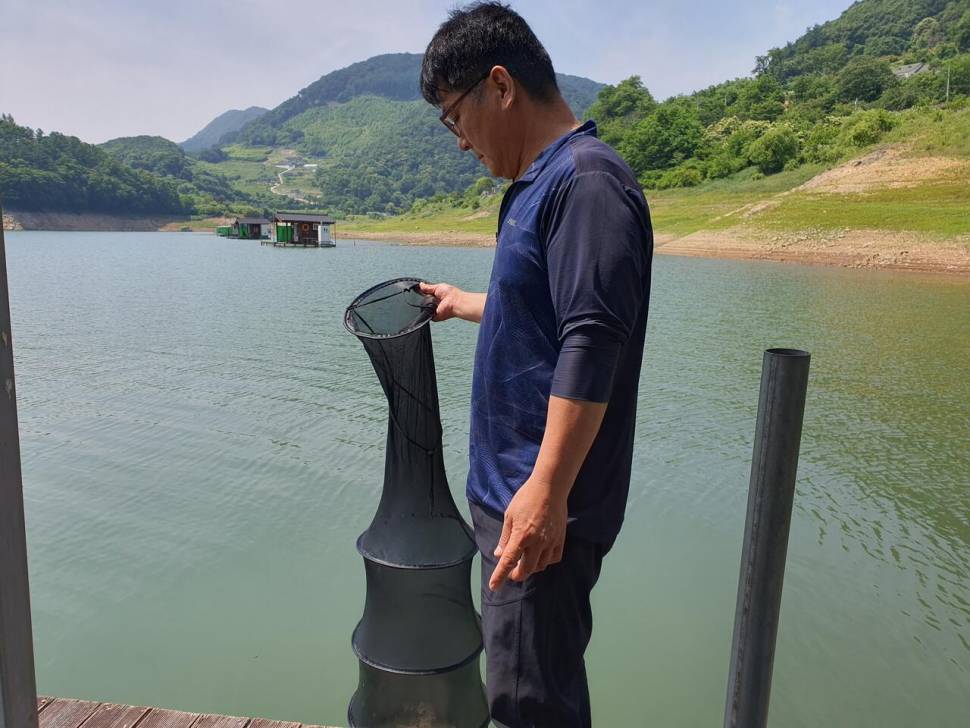 용곡 김기호 낚시터 조황정보 입니다 (조황조행기 - 충주호조황속보)