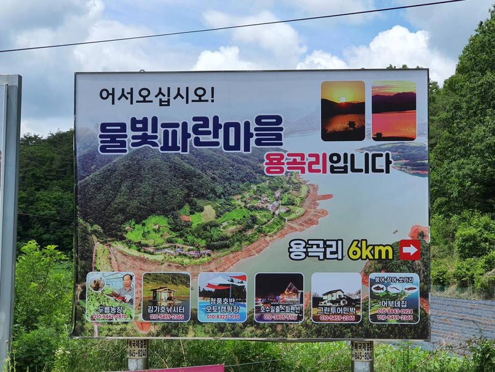 대물과 함께 하는곳 용곡 김기호 낚시터 조황정보 입니다 (조황조행기 - 충주호조황속보)