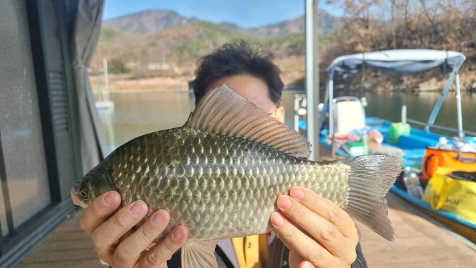 솔낚시터 조황소식입니다 (조황조행기 - 충주호조황속보)