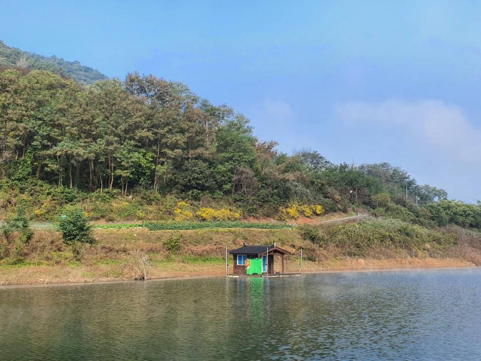 용곡 김기호 낚시터 허리급 조황정보 입니다 (조황조행기 - 충주호조황속보)