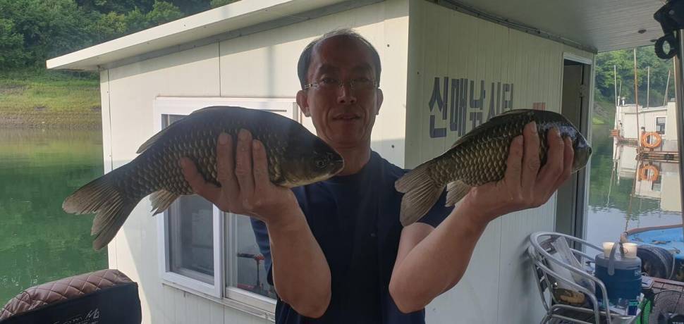 신매낚시터 7월 4일조황 (조황조행기 - 충주호조황속보)