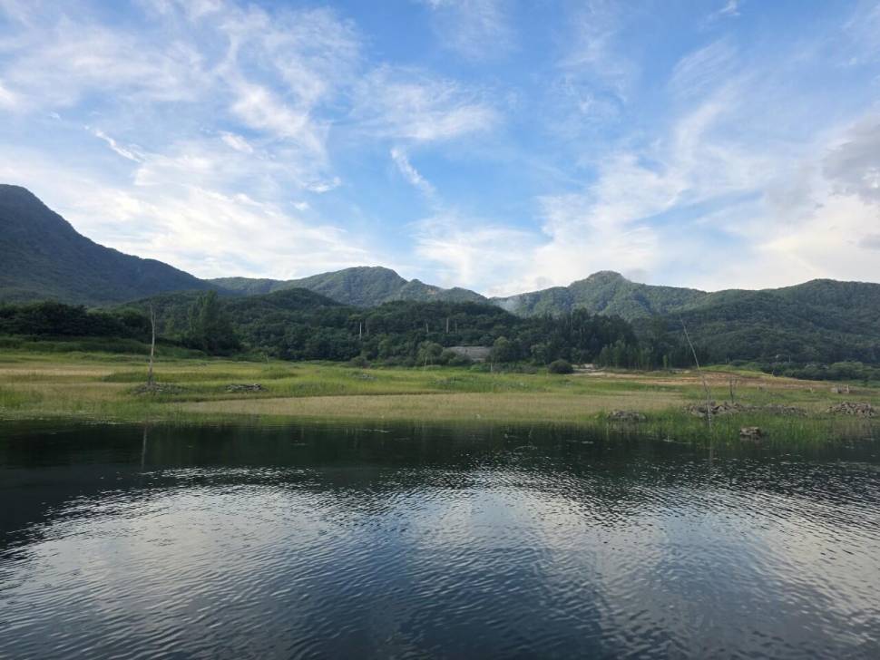 솔낚시터 사짜 및 허릿급 월척 조황소식입니다 (조황조행기 - 충주호조황속보)