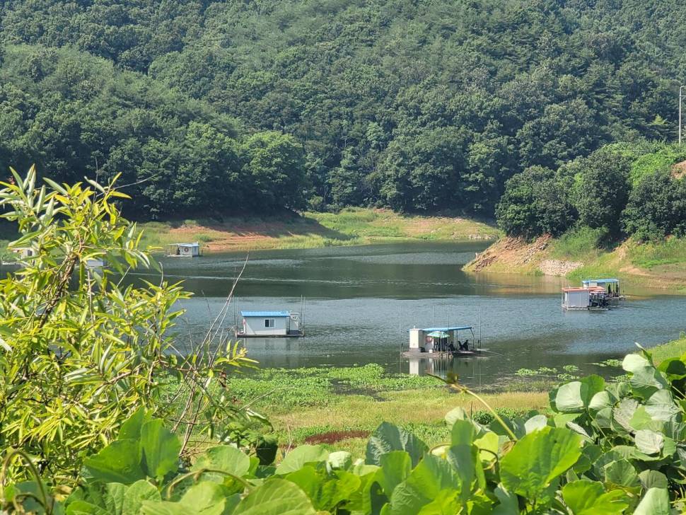 실리곡낚시터 허리급 조황입니다 (조황조행기 - 충주호조황속보)