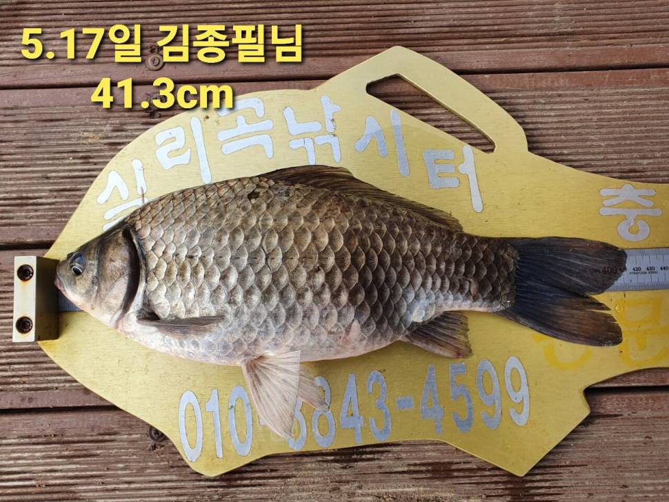 실리곡낚시터 44cm 대물 조황입니다 (조황조행기 - 충주호조황속보)