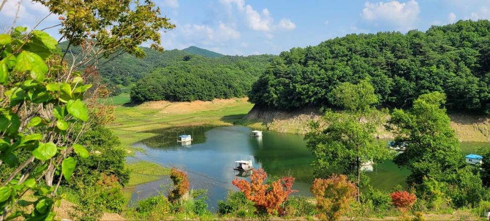 청풍신리낚시터 허리급입니다 (조황조행기 - 충주호조황속보)