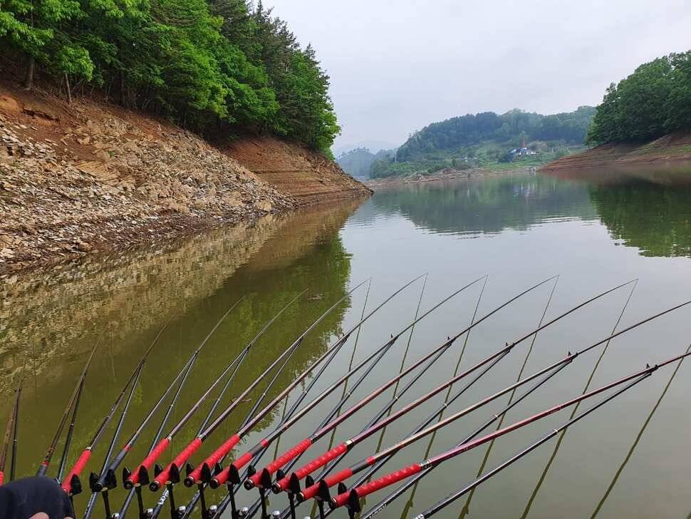 청풍신리낚시터 4짜 조황입니다 (조황조행기 - 충주호조황속보)