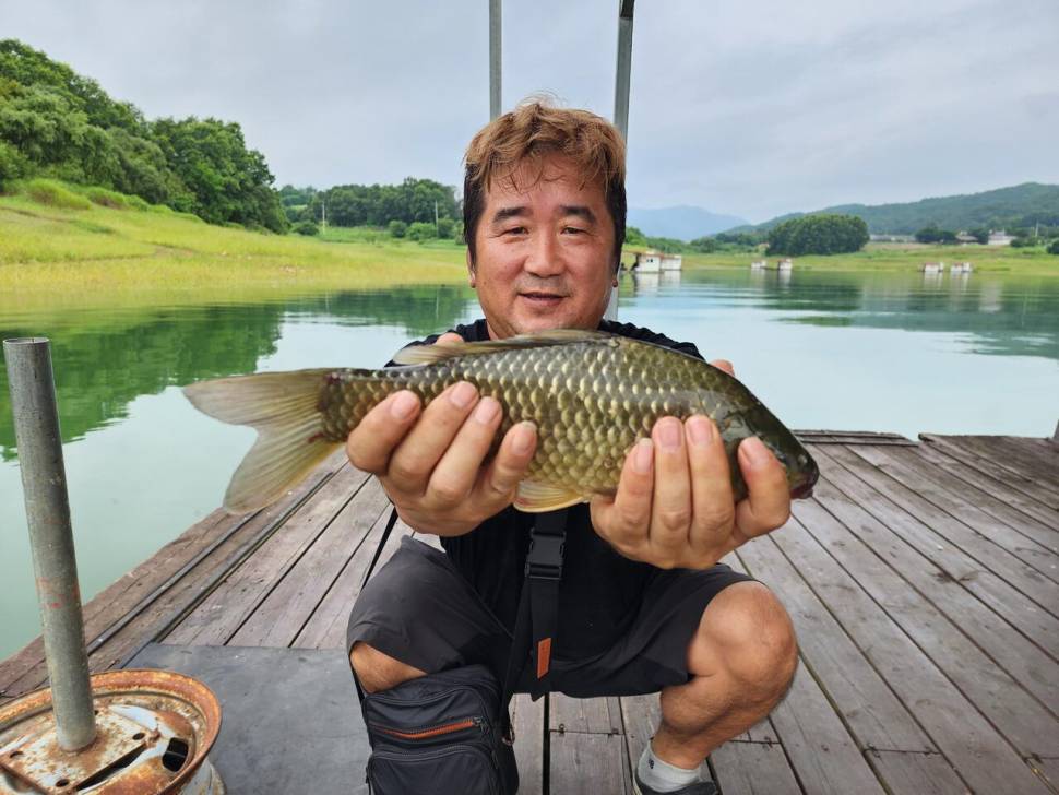 청풍 한버들 4짜및 허릿급 조황입니다주말 (조황조행기 - 충주호조황속보)