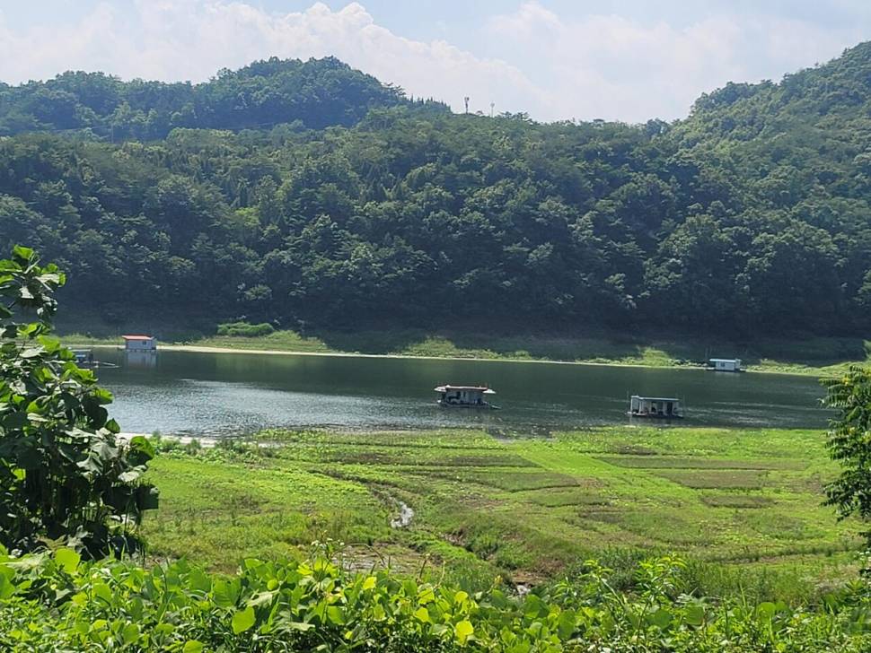 실리곡낚시터 허리급 조황입니다 (조황조행기 - 충주호조황속보)