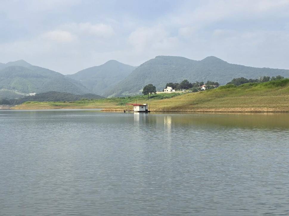 청풍 한버들 조황입니다 (조황조행기 - 충주호조황속보)