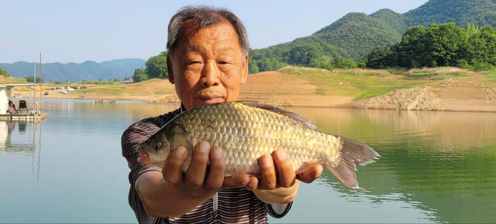청풍신리낚시터 허리급조황입니다 (조황조행기 - 충주호조황속보)