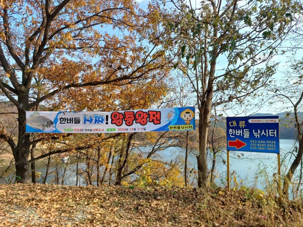 청풍 한버들 허릿급 마릿수조황입니다 (조황조행기 - 충주호조황속보)