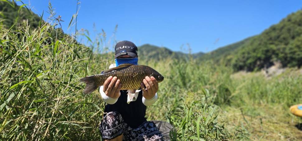 충주 명서낚시터 조황입니다 (조황조행기 - 충주호조황속보)