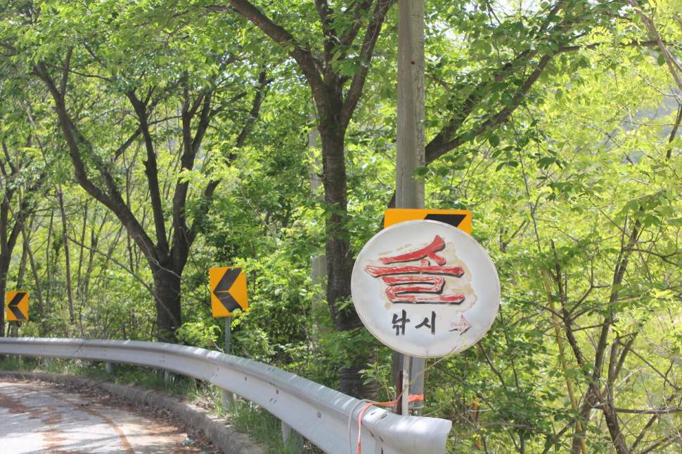 솔낚시터 조황 소식입니다 (조황조행기 - 충주호조황속보)