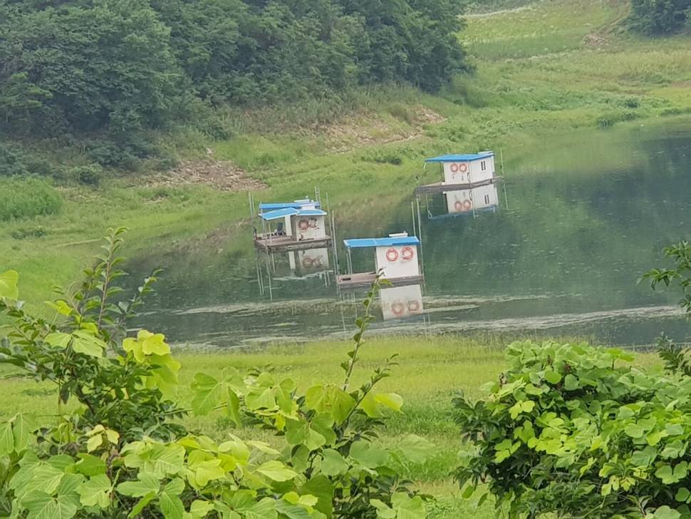 실리곡낚시터 조황입니다 (조황조행기 - 충주호조황속보)