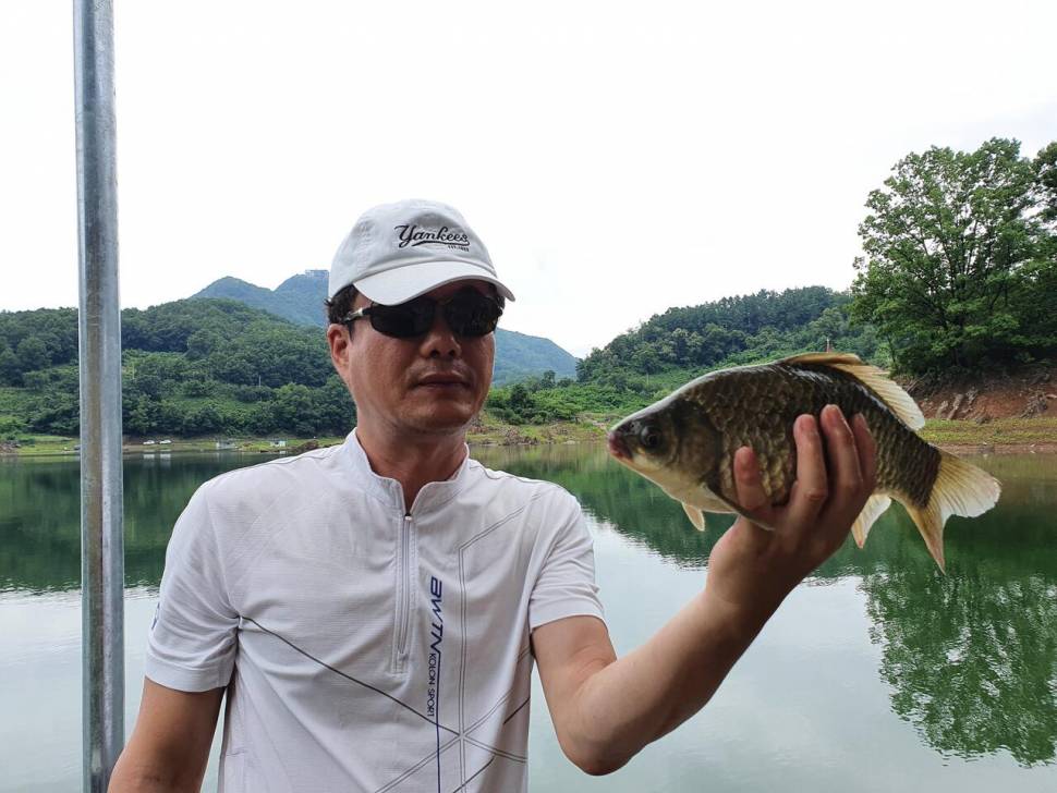 청풍신리낚시터 44cm41cm외 허리급 조황입니다 (조황조행기 - 충주호조황속보)