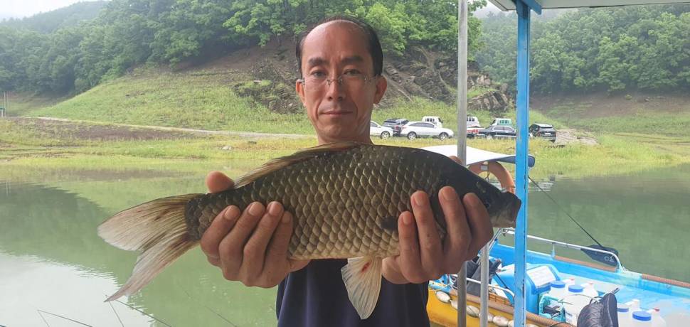 신매낚시터 7월 6일조황 (조황조행기 - 충주호조황속보)