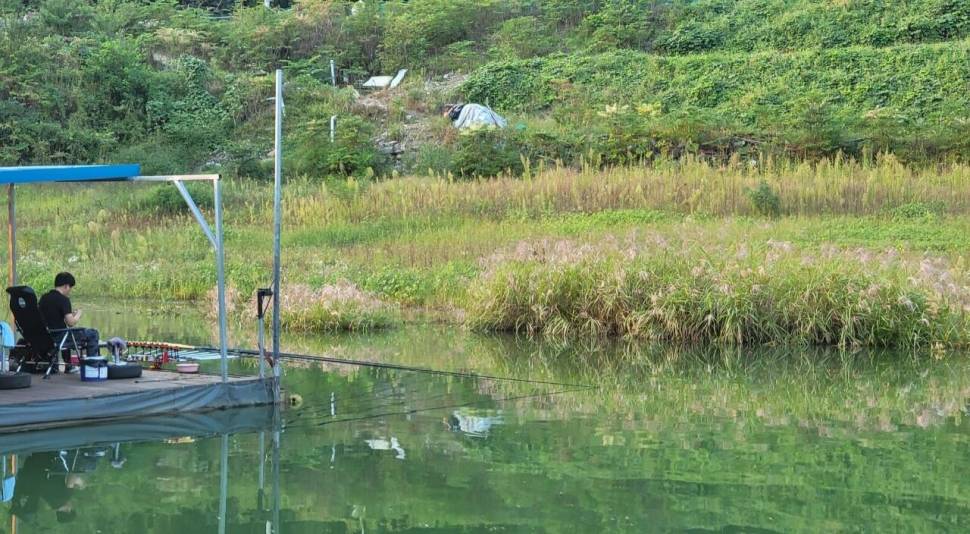 실리곡낚시터 조황입니다 (조황조행기 - 충주호조황속보)