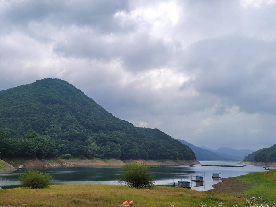 충주호목벌낚시터소식 (조황조행기 - 충주호조황속보)