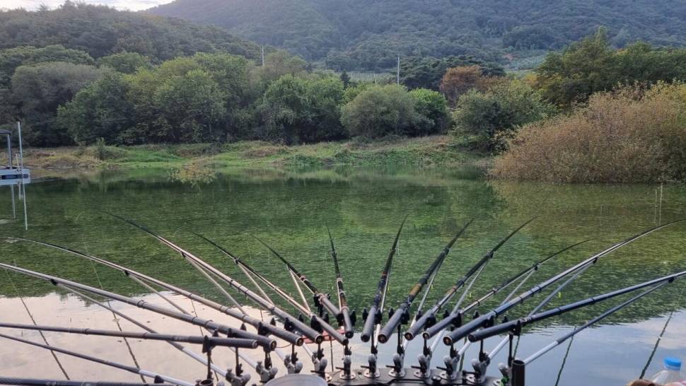 솔낚시터 조황소식 입니다 (조황조행기 - 충주호조황속보)