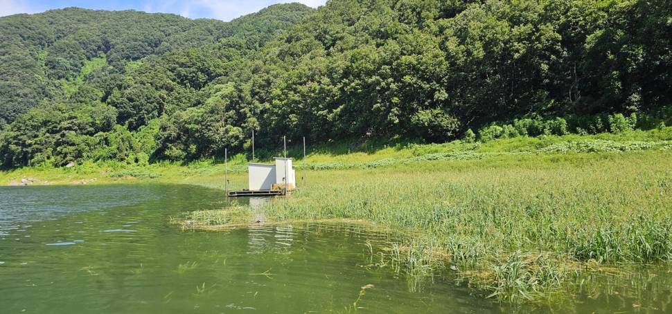 충주 명서낚시터 조황입니다 (조황조행기 - 충주호조황속보)
