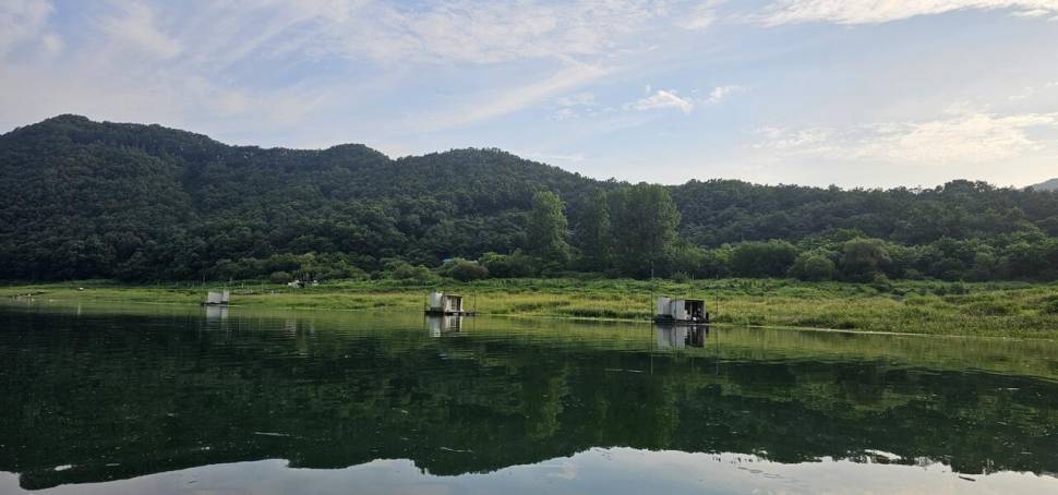 충주 명서낚시터 조황입니다 (조황조행기 - 충주호조황속보)