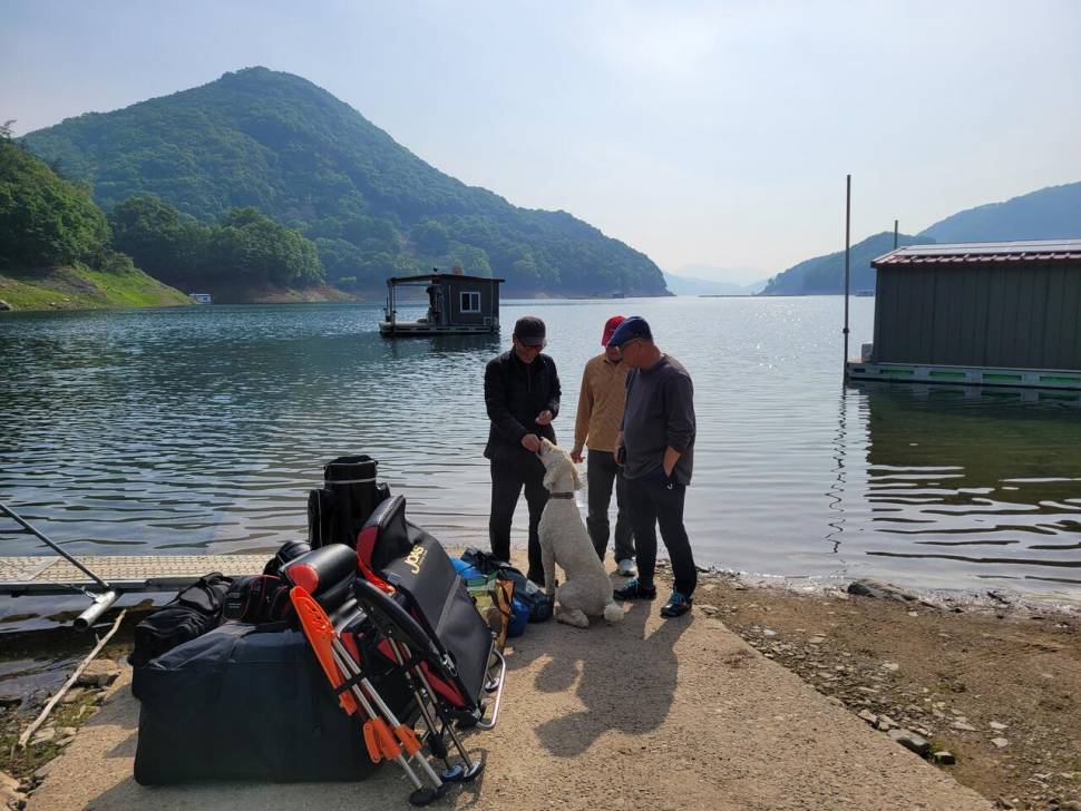 충주호목벌 조황 (조황조행기 - 충주호조황속보)