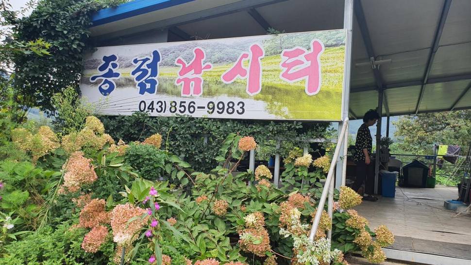 서운리 종점 낚시터입니다 (조황조행기 - 충주호조황속보)