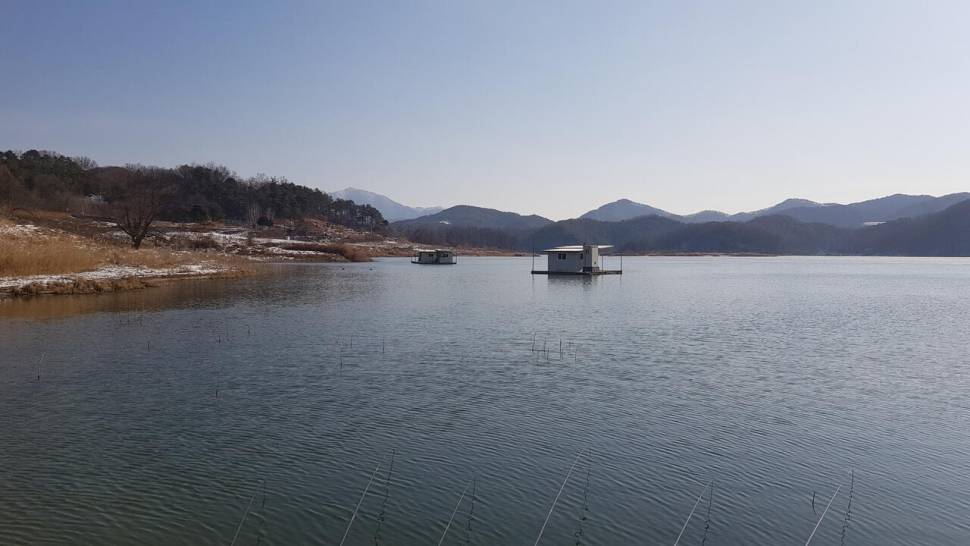 한버들 허릿급 조황입니다 (조황조행기 - 충주호조황속보)