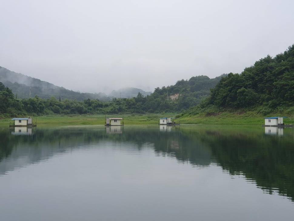 실리곡낚시터 조황입니다 (조황조행기 - 충주호조황속보)