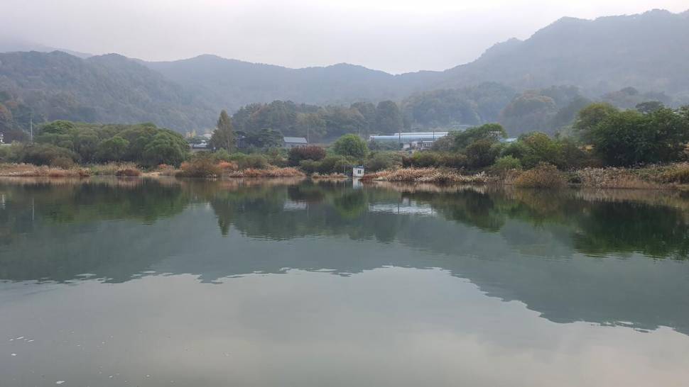 서운리 종점 낚시터 입니다 (조황조행기 - 충주호조황속보)