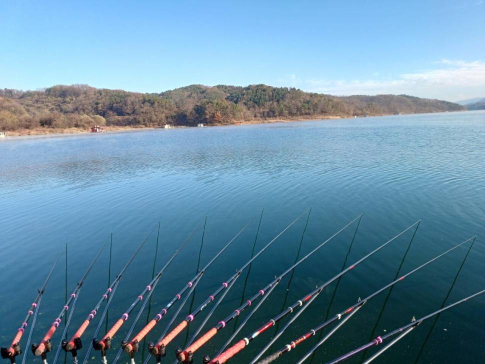충주호 제일낚시터 (조황조행기 - 충주호조황속보)