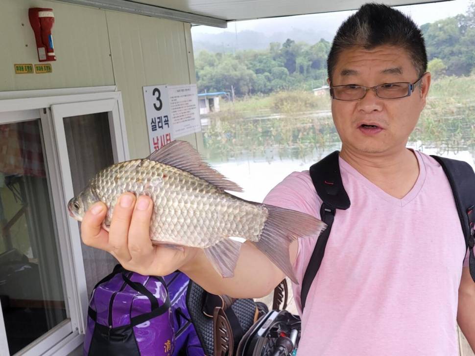 실리곡낚시터 조황입니다 (조황조행기 - 충주호조황속보)