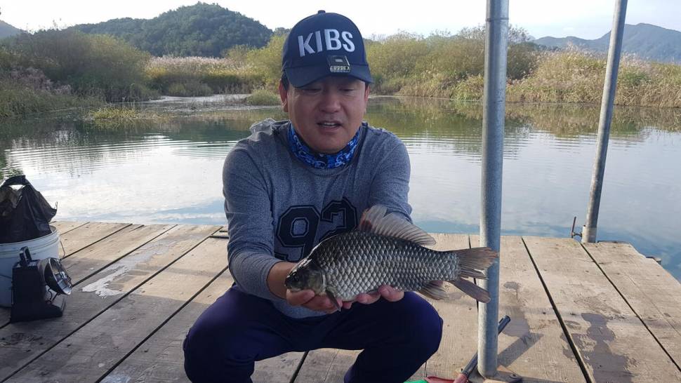 한버들 조황입니다 (조황조행기 - 충주호조황속보)