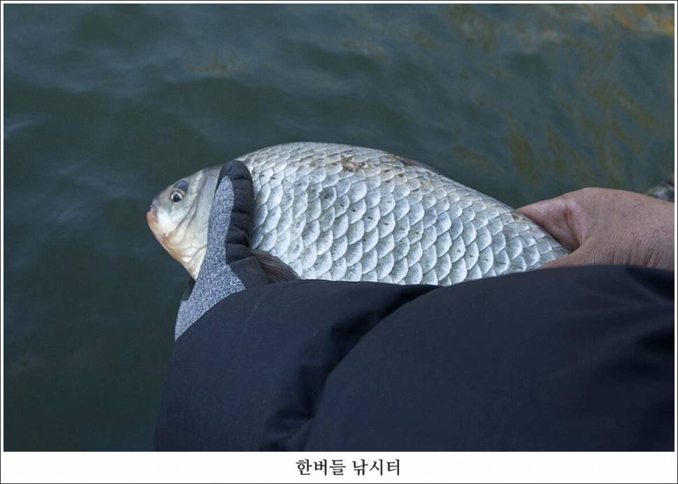제 4회 한버들 4짜 왕중왕전 대회 조황입니다 (조황조행기 - 충주호조황속보)