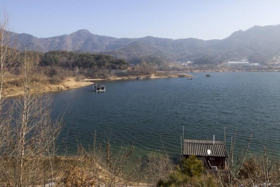 솔낚시터 겨울 조황소식 입니다 (조황조행기 - 충주호조황속보)