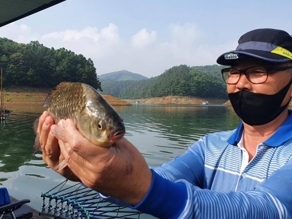 청풍신리낚시터 조황정보입니다 (조황조행기 - 충주호조황속보)