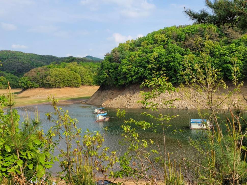 청풍신리낚시터 허리급조황정보입니다 (조황조행기 - 충주호조황속보)