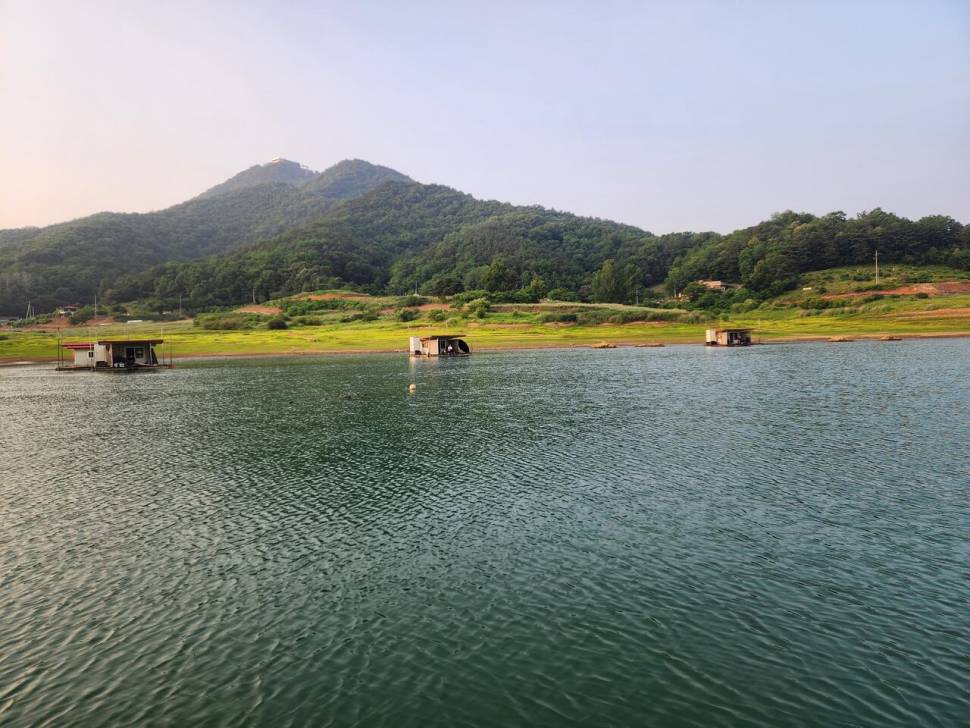 청풍 한버들 4짜및 허릿급 조황입니다 (조황조행기 - 충주호조황속보)