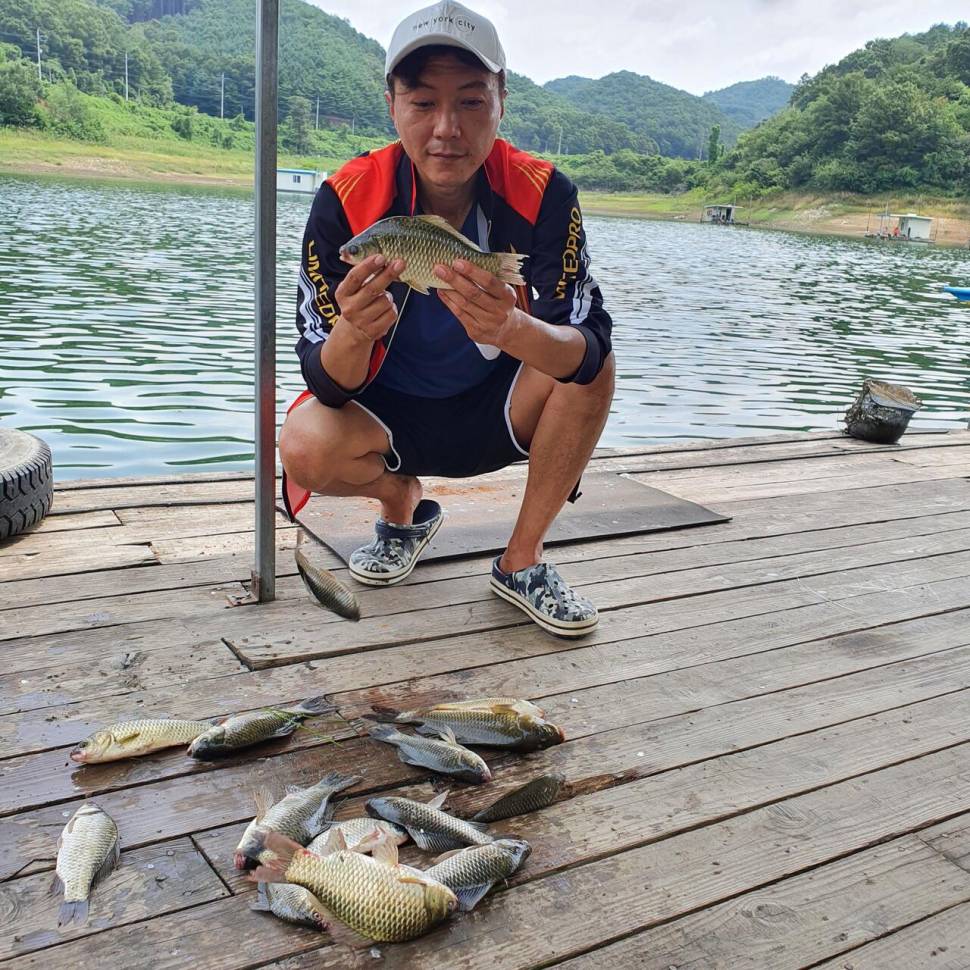 실리곡낚시터 허리급 조황입니다 (조황조행기 - 충주호조황속보)