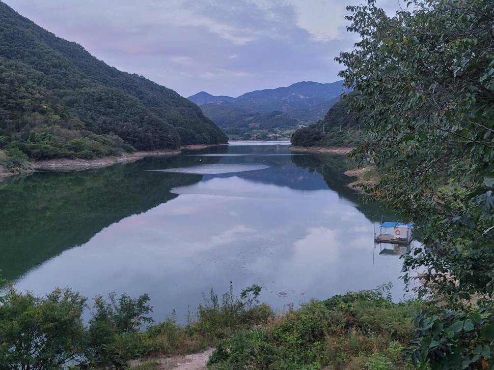 실리곡낚시터 조황입니다 (조황조행기 - 충주호조황속보)