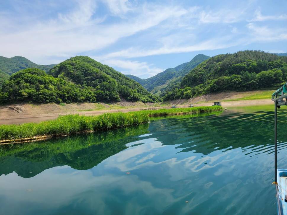 목벌주말조황소식 입니다 (조황조행기 - 충주호조황속보)